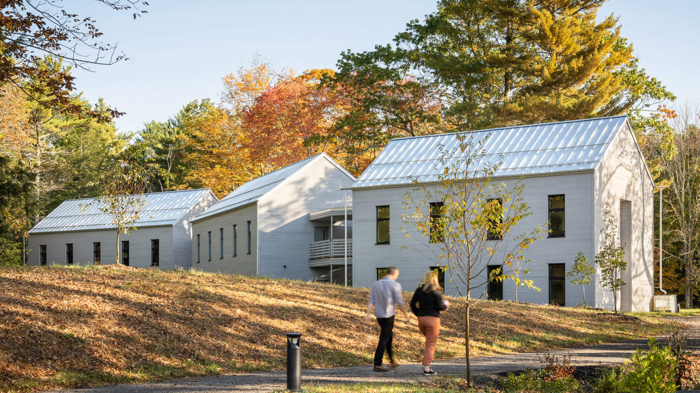 The Ecology School